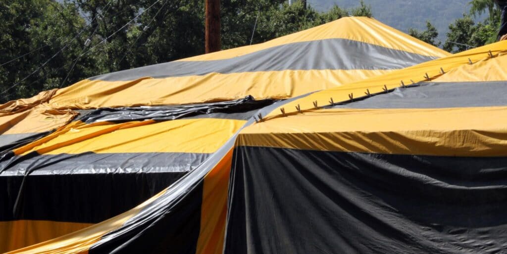 termite fumigation tent over house