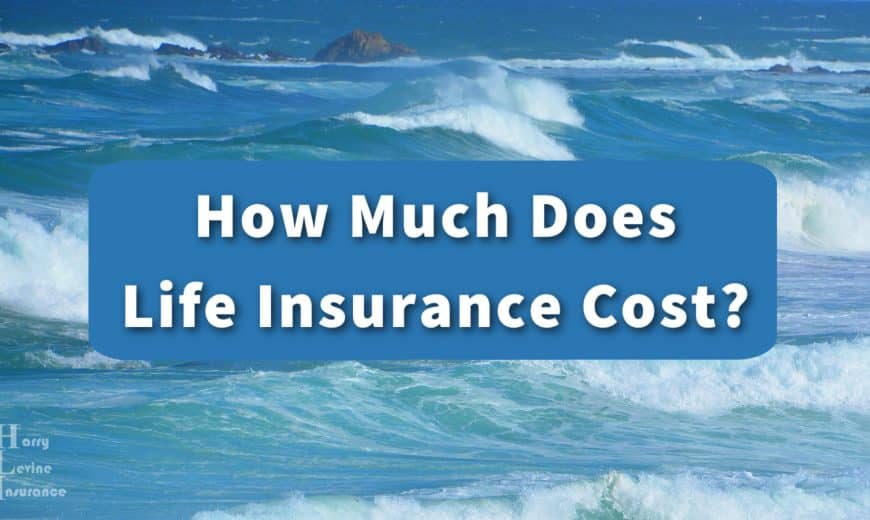 How Much Does Life Insurance Cost?