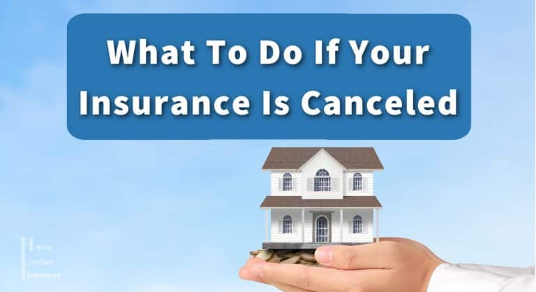 What To Do If Your Insurance Is Canceled