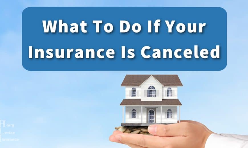What To Do If Your Insurance Is Canceled